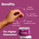 premium-berberine-supplement-body-compos-4.jpg