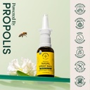 beekeeper-s-naturals-propolis-nasal-rins-3.jpg
