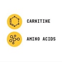beyond-raw-chemistry-labs-l-carnitine-po-5.jpg