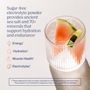 trace-minerals-zerolyte-salty-watermelon-2.jpg