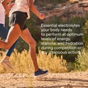 trace-minerals-endure-mineral-absorption-3.jpg