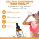 dandelion-root-extract-drops-with-gradua-2.jpg