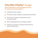 pure-synergy-vita-min-vitality-natural-m-4.jpg