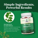 bundle-of-extra-strength-moringa-gummies-6.jpg