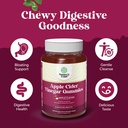 bundle-of-extra-strength-moringa-gummies-5.jpg