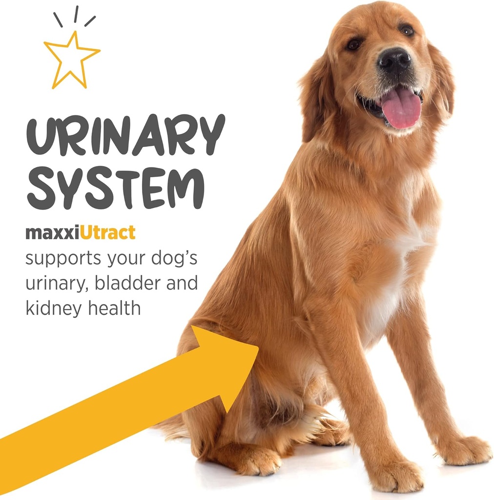 maxxipaws-maxxiutract-urinary-bladder-su-4.jpg
