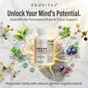 brain-focus-formula-veggie-capsules-60-c-5.jpg