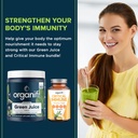organifi-green-juice-superfood-powder-30-3.jpg