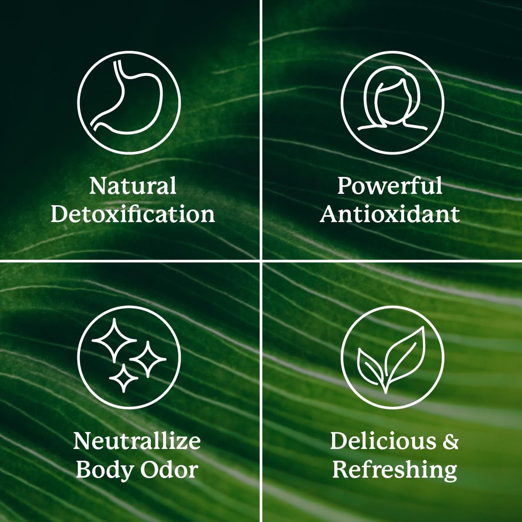 nature-s-sunshine-chlorophyll-60-softgel-5.jpg