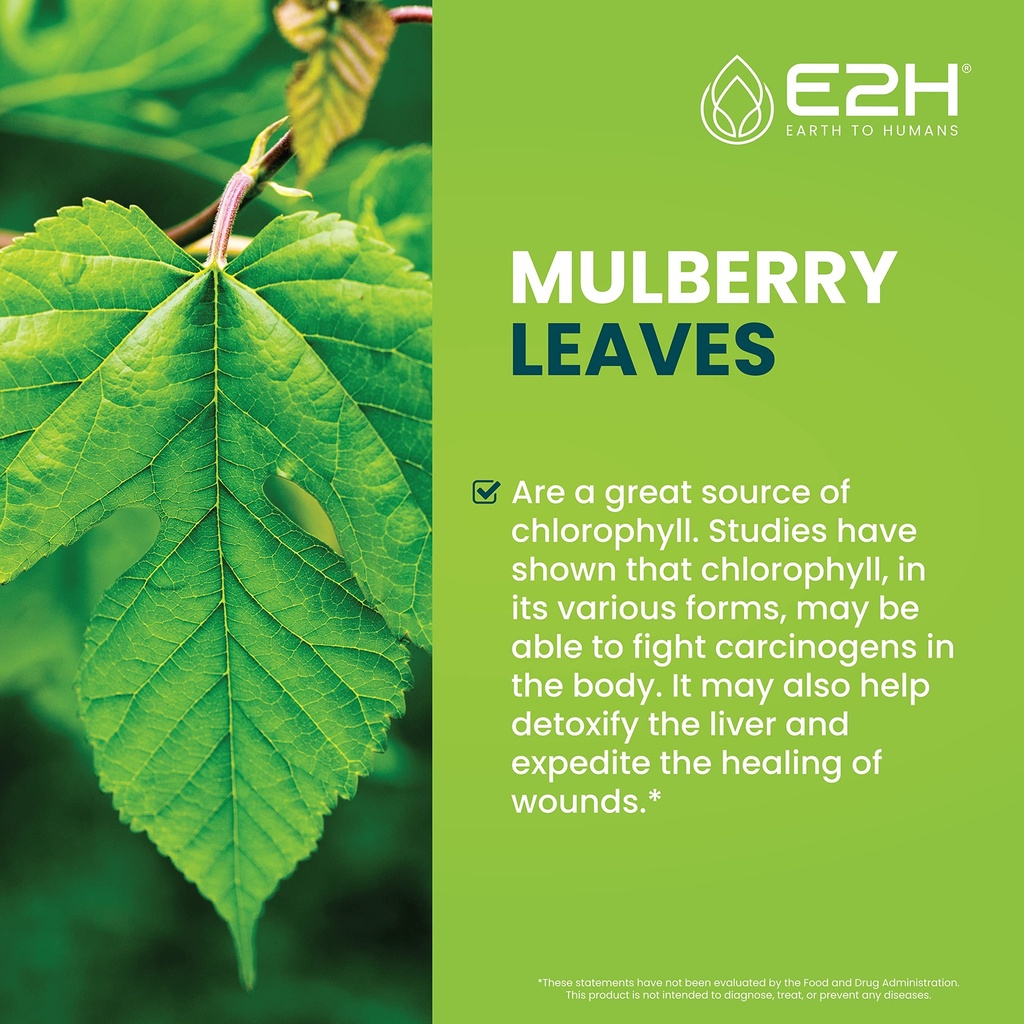 e2h-chlorophyll-liquid-drops-natural-ene-3.jpg