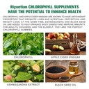 sugar-free-chlorophyll-gummies-with-unfi-5.jpg