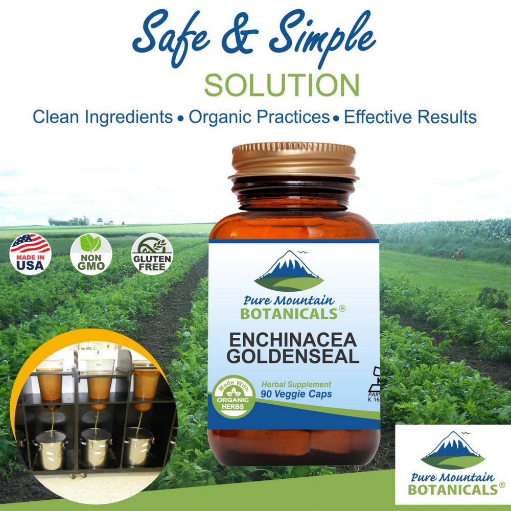 echinacea-goldenseal-capsules-kosher-veg-3.jpg