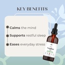 passionflower-tincture-alcohol-free-herb-3.jpg