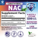nac-supplement-1200mg-per-serving-n-acet-2.jpg