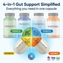 4-in-1-gut-health-support-prebiotics-pro-6.jpg