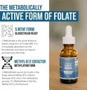 organic-methyl-folate-1000-mcg-methyl-b1-3.jpg