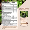 plantfusion-vegan-collagen-powder-plant--4.jpg