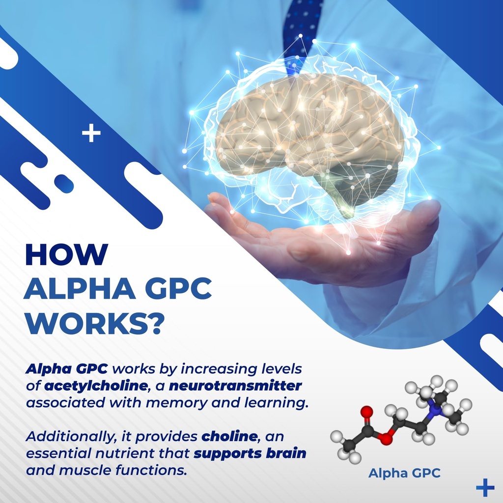 high-potency-alpha-gpc-with-vitamin-b12--5.jpg