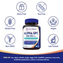 doctor-s-recipes-alpha-gpc-300-mg-supple-5.jpg