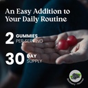 vita-globe-melatonin-gummies-10mg-sleep--4.jpg