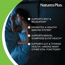 naturesplus-melatonin-1-mg-90-fast-actin-3.jpg