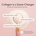 alaya-multi-collagen-powder-type-i-ii-ii-5.jpg