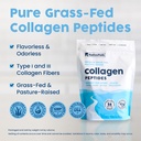 nativepath-collagen-peptides-protein-hyd-3.jpg