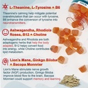 neviss-bundle-women-men-s-50-multivitami-3.jpg