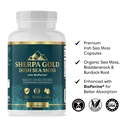 organic-irish-sea-moss-capsules-92-miner-5.jpg