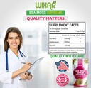 wixar-wildcrafted-sea-moss-powder-8-ounc-6.jpg
