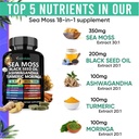 adndale-sea-moss-capsules-sea-moss-blend-2.jpg