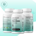 balancebreens-organic-irish-sea-moss-bla-4.jpg