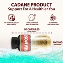 organic-cadane-irish-sea-moss-extract-ca-2.jpg