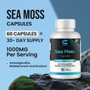 sea-moss-capsules-with-ashwagandha-bladd-2.jpg
