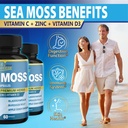cadane-2-packs-irish-sea-moss-powder-cap-4.jpg