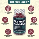 premium-sea-moss-gummies-irish-sea-moss--4.jpg