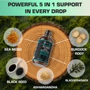 herbify-sea-moss-multimineral-liquid-com-3.jpg