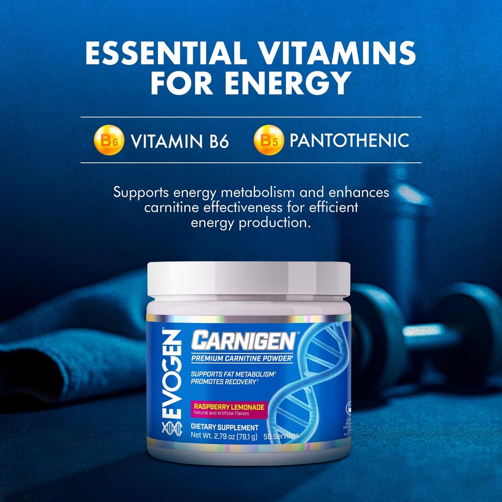 evogen-carnigen-premium-carnitine-powder-6.jpg