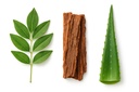 15-day-cleanse-detox-supports-digestive--6.jpg