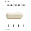 california-gold-nutrition-l-theanine-fea-3.jpg