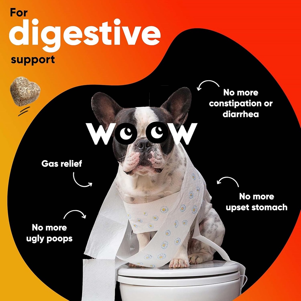 probiotics-for-dogs-pet-dog-probiotics-a-3.jpg