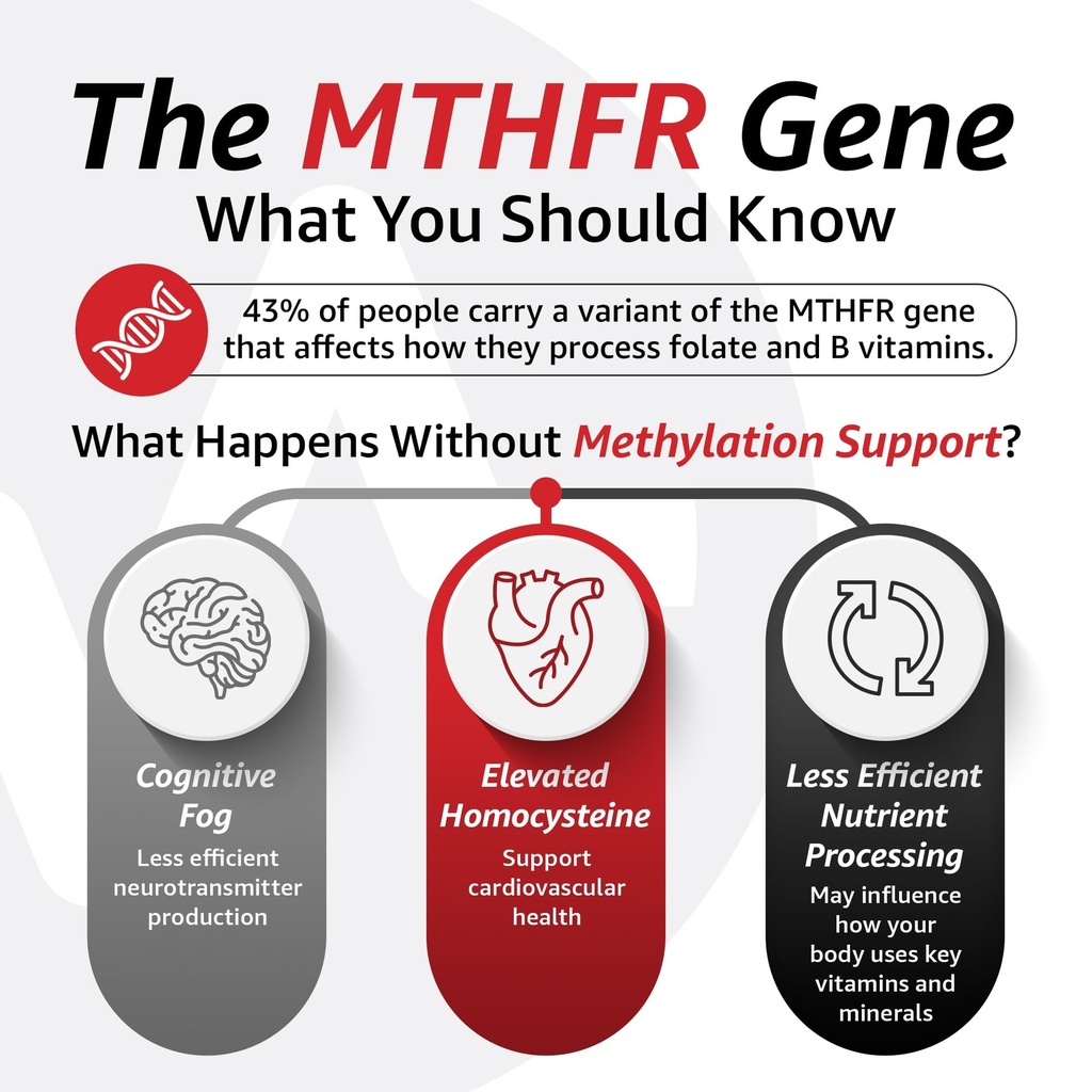 10x-health-optimize-methylated-multivita-6.jpg