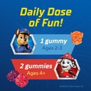 l-il-critters-paw-patrol-gummy-vites-dai-5.jpg
