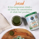garden-of-life-raw-organic-perfect-food--3.jpg
