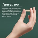 primal-harvest-restore-for-gut-health-pr-4.jpg