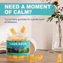 2pack-kava-kava-gummies-sugar-free-calm--3.jpg