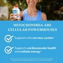 doctor-s-best-pqq-with-biopqq-supplement-5.jpg