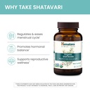 himalaya-organic-ashwagandha-for-energy--6.jpg