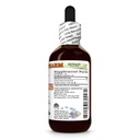 coleus-coleus-forskohlii-dry-root-glycer-2.jpg