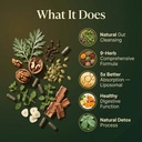 liposomal-herbal-parasite-gut-detox-120--3.jpg